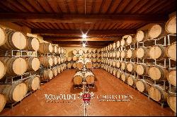 CHIANTI COLLI ARETINI WINE ESTATE FOR SALE IN CIVITELLA IN VALDICHIANA, TUSCANY