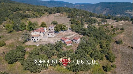 RURAL HAMLET TO BE RESTORED FOR SALE IN CASENTINO, TUSCANY