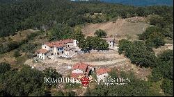 RURAL HAMLET TO BE RESTORED FOR SALE IN CASENTINO, TUSCANY