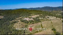 RURAL HAMLET TO BE RESTORED FOR SALE IN CASENTINO, TUSCANY