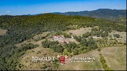 RURAL HAMLET TO BE RESTORED FOR SALE IN CASENTINO, TUSCANY