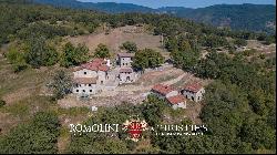 RURAL HAMLET TO BE RESTORED FOR SALE IN CASENTINO, TUSCANY