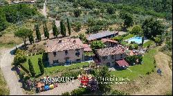 ESTATE WITH VINEYARDS AND OLIVE GROVE FOR SALE IN TUSCANY, FLORENCE