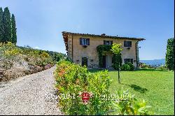 ESTATE WITH VINEYARDS AND OLIVE GROVE FOR SALE IN TUSCANY, FLORENCE