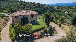 ESTATE WITH VINEYARDS AND OLIVE GROVE FOR SALE IN TUSCANY, FLORENCE