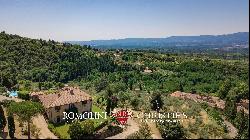 ESTATE WITH VINEYARDS AND OLIVE GROVE FOR SALE IN TUSCANY, FLORENCE