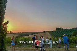 ORGANIC WINE ESTATE FOR SALE IN MAREMMA, TUSCANY