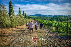 ORGANIC WINE ESTATE FOR SALE IN MAREMMA, TUSCANY