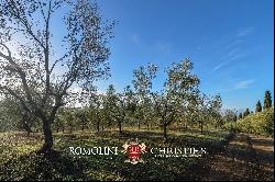 ORGANIC WINE ESTATE FOR SALE IN MAREMMA, TUSCANY