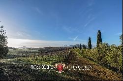 ORGANIC WINE ESTATE FOR SALE IN MAREMMA, TUSCANY