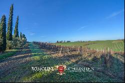 ORGANIC WINE ESTATE FOR SALE IN MAREMMA, TUSCANY