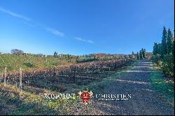 ORGANIC WINE ESTATE FOR SALE IN MAREMMA, TUSCANY