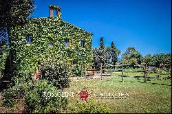 ORGANIC ESTATE WITH AGRITURISMO AND YOGA CENTER FOR SALE IN MAREMMA