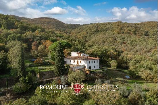 HISTORIC VILLA FOR SALE HALF AN HOUR FROM FLORENCE