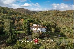 HISTORIC VILLA FOR SALE HALF AN HOUR FROM FLORENCE