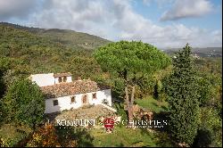 HISTORIC VILLA FOR SALE HALF AN HOUR FROM FLORENCE