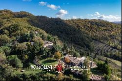 RESORT FOR SALE IN ASSISI, UMBRIA