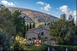 RESORT FOR SALE IN ASSISI, UMBRIA