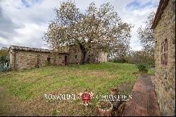 RUSTIC FARMHOUSE FOR SALE IN MAREMMA, TUSCANY