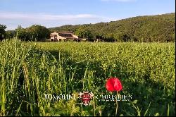 RUSTIC FARMHOUSE FOR SALE IN MAREMMA, TUSCANY