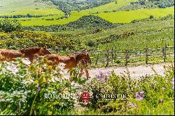 EQUESTRIAN ESTATE FOR SALE IN VALDORCIA, TUSCANY