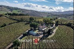 RENOWNED WINE ESTATE FOR SALE IN MONTALCINO, TUSCANY