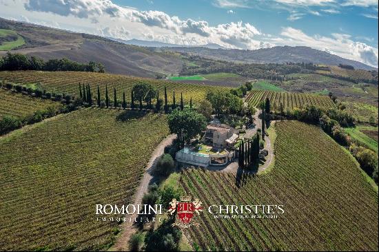 RENOWNED WINE ESTATE FOR SALE IN MONTALCINO, TUSCANY