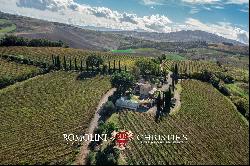 RENOWNED WINE ESTATE FOR SALE IN MONTALCINO, TUSCANY