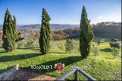 COUNTRY HOUSE WITH RESTAURANT AND VINEYARD FOR SALE IN UMBRIA