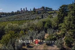 COUNTRY HOUSE FOR SALE IN SAN GIMIGNANO, TUSCANY