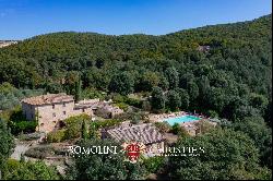 RURAL HAMLET WITH POOL FOR SALE IN CASOLE D'ELSA, TUSCANY