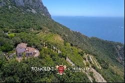 SEA VIEWVILLA WITH GUESTHOUSE FOR SALE, ARGENTARIO