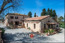 VILLA WITH VINEYARDS AND POOL FOR SALE IN SIENA