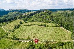 CHIANTI CLASSICO VINEYARDS FOR SALE IN SAN CASCIANO VAL DI PESA