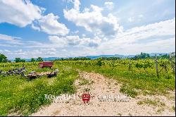 CHIANTI CLASSICO VINEYARDS FOR SALE IN SAN CASCIANO VAL DI PESA