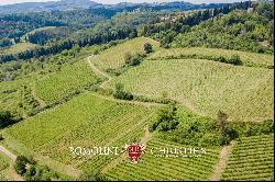 CHIANTI CLASSICO VINEYARDS FOR SALE IN SAN CASCIANO VAL DI PESA