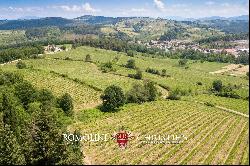 CHIANTI CLASSICO VINEYARDS FOR SALE IN SAN CASCIANO VAL DI PESA