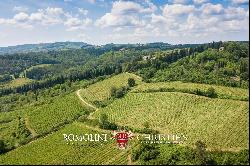 ESTATE WITH CHIANTI CLASSICO VINEYARDS AND VILLA FOR SALE