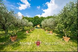 ESTATE WITH CHIANTI CLASSICO VINEYARDS AND VILLA FOR SALE