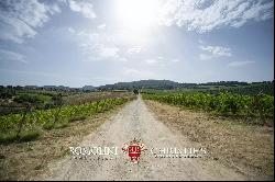 WINE ESTATE WITH 25.8 HA OF VINEYARDS FOR SALE IN CHIANTI CLASSICO, TUSCANY