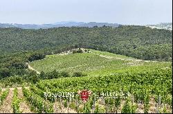 WINE ESTATE WITH 25.8 HA OF VINEYARDS FOR SALE IN CHIANTI CLASSICO, TUSCANY