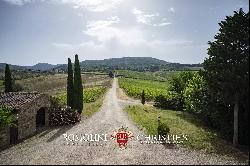 WINE ESTATE WITH 25.8 HA OF VINEYARDS FOR SALE IN CHIANTI CLASSICO, TUSCANY