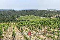 WINE ESTATE WITH 25.8 HA OF VINEYARDS FOR SALE IN CHIANTI CLASSICO, TUSCANY