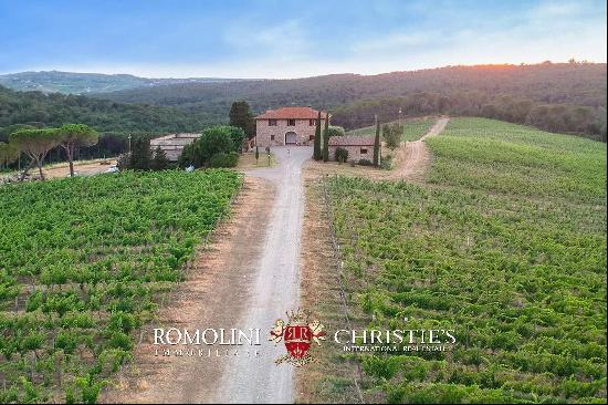 WINE ESTATE WITH 25.8 HA OF VINEYARDS FOR SALE IN CHIANTI CLASSICO, TUSCANY