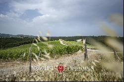 WINE ESTATE WITH 25.8 HA OF VINEYARDS FOR SALE IN CHIANTI CLASSICO, TUSCANY