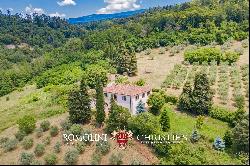 COUNTRY VILLA FOR SALE IN AREZZO, TUSCANY