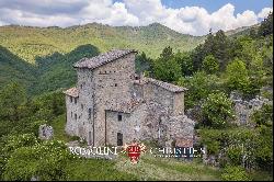 SCENIC RETREAT WITH LARGE COUNTRY HOUSE AND A 7th CENTURY FOUR-STORY TOWER