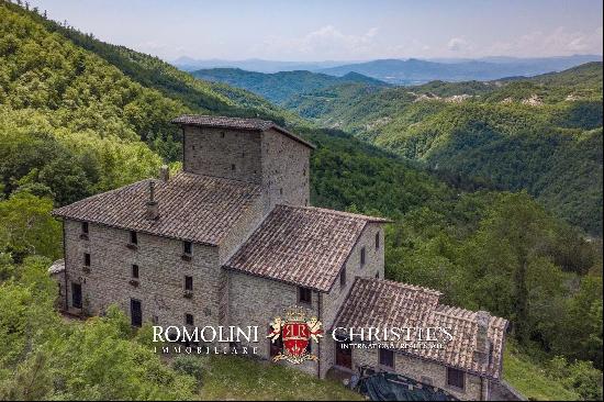 SCENIC RETREAT WITH LARGE COUNTRY HOUSE AND A 7th CENTURY FOUR-STORY TOWER