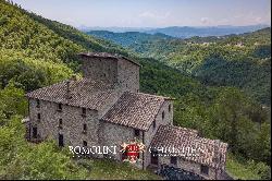 SCENIC RETREAT WITH LARGE COUNTRY HOUSE AND A 7th CENTURY FOUR-STORY TOWER