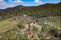 ESTATE WITH RURAL HAMLET FOR SALE IN GAIOLE IN CHIANTI, TUSCANY